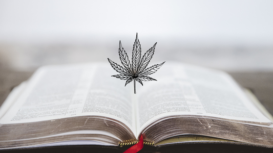 Užívání konopí v Bibli