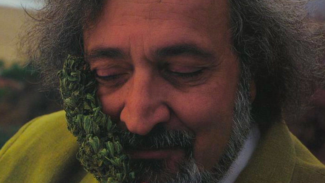 Muž, který zachránil konopí