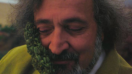 Muž, který zachránil konopí