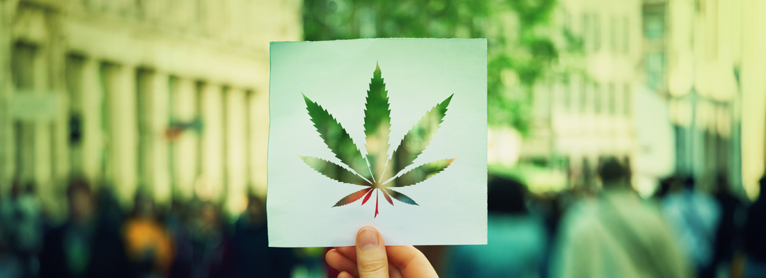 „Utrhli se.“ Lidovci se ve sněmovně opřeli do konopí