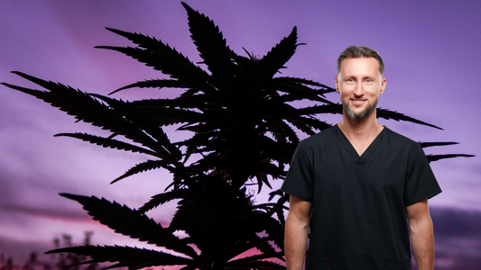 Rozmanitost využití konopné byliny v lékařství