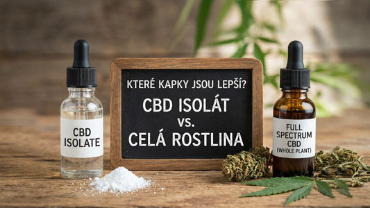 Full spectrum vs. izolát, který CBD olej vybrat?